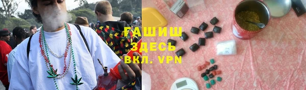 индика Дмитриев