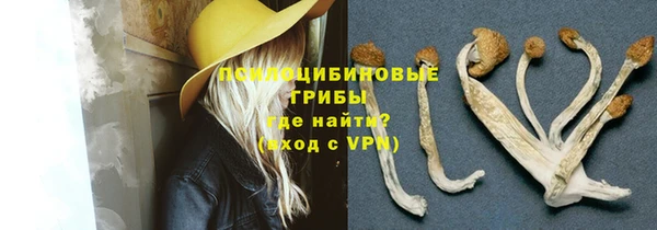 индика Дмитриев