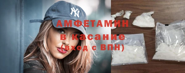 индика Дмитриев