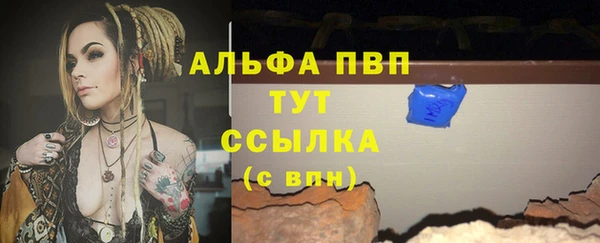 хмурый Няндома