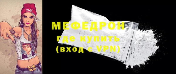 индика Дмитриев