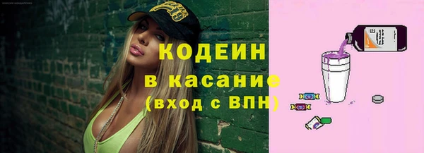хмурый Няндома