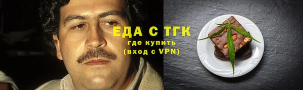 индика Дмитриев