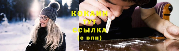 шишки Нягань