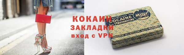 молекула духа Дмитровск