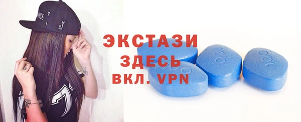 индика Дмитриев