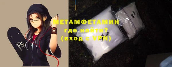 индика Дмитриев