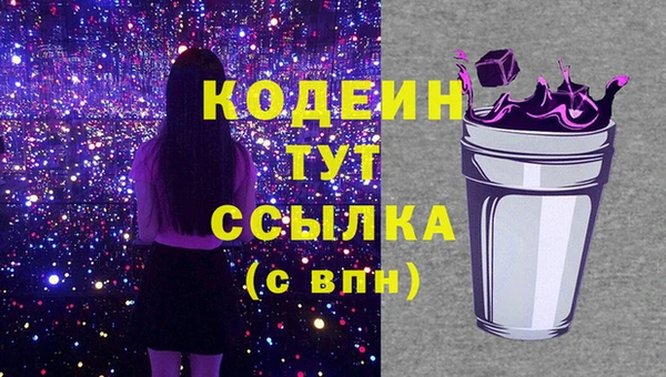 индика Дмитриев