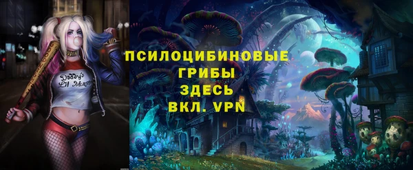 молекула духа Дмитровск