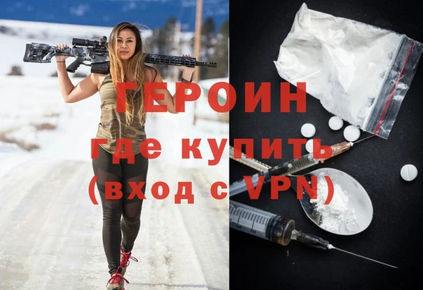 индика Дмитриев