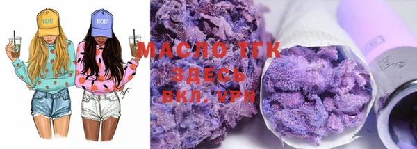 индика Дмитриев
