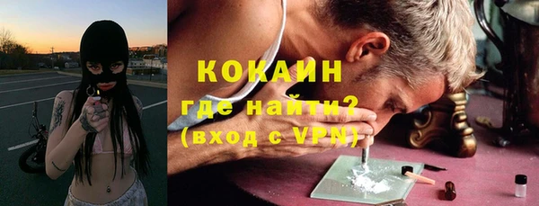 индика Дмитриев