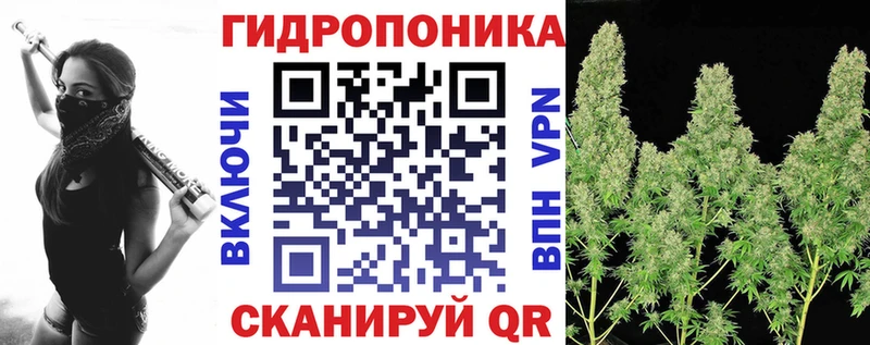 сколько стоит  Первомайск  Шишки марихуана White Widow 
